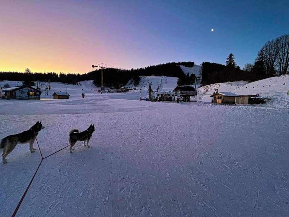 Place Royale Pour 10 A 12 Personnes A 30 Met Des Pistes De Ski Et Vtt Métabief Dış mekan fotoğraf